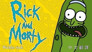 醃黃瓜Rick pickle rick  中文翻譯 [upl. by Yroj]