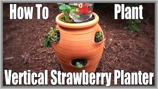 How To Plant Vertical Strawberry Planter [upl. by How618]