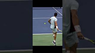 Top5 Insane Tennis Shot 볼수록 소름돋는 샷 Top5 federer monfils alcaraz coevas dimitrov [upl. by Pansir]