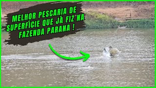 VOCÊ PRECISA ASSISTIR ESSE VÍDEO SE GOSTA DA PESCA DE SUPERFÍCIE   Fazenda Paraná Parte 2 [upl. by Dre]