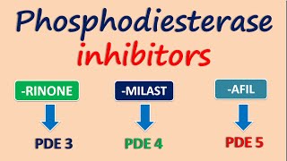 Phosphodiesterase inhibitors [upl. by Corotto]