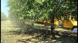 Day in Agriculture California Almond Harvest [upl. by Catharine]