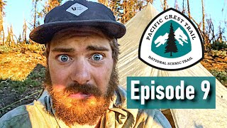 NEW TENT and 1000 Miles on the PCT  Episode 9  Pacific Crest Trail 2022 [upl. by Wilson]