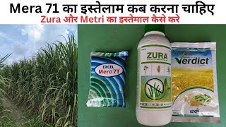 Herbicide zura 24D और metri का इस्तेमाल कब और कैसे करे  Mera 71 का इस्तेमाल कब करना चाहिए। [upl. by Meg]