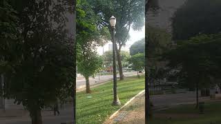 Vale amanhagabaū são Paulo capital isso é Brazil18022024 [upl. by Ellissa]