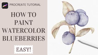 How to Paint Watercolor Blueberries in Procreate  Realistic Watercolor Fruit Procreate Tutorial [upl. by Ardnuahsal]