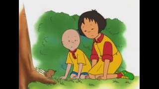 Caillou FRANÇAIS  3 ÉPISODES TRÈS SPÉCIAUX  conte pour enfant  Caillou en Français [upl. by Anehta]