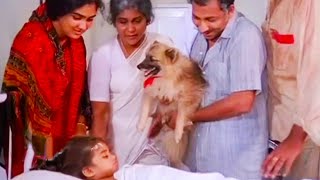 Malootty Malayalam Movie Climax Scene  Malayalam Movie Scene  Urvashi  Kpac Lalitha Baby Shalini [upl. by Eadas917]