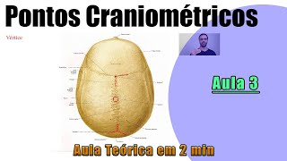 Pontos Craniométricos  Parte 3  Teórica  Anatomia Humana [upl. by Anerres454]