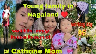 Helping my parents planting mustard seedsafter harvest simple vlog village lifestyle [upl. by Yelkreb796]