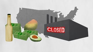 NAFTA explained by avocados And shoes [upl. by Ike322]