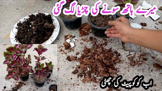 Cocopeat ki shuti cocopeat ka tor mil gya  soft metrial for plants [upl. by Augusto518]