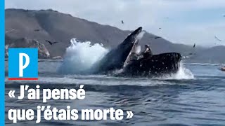 EtatsUnis  deux kayakistes « avalées » par une baleine [upl. by Staci]