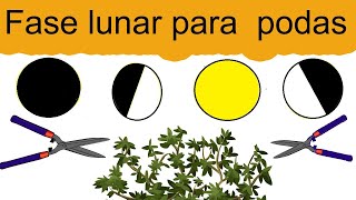 Fases lunares para podar  En que fase de la luna se puede podar ðŸŒ™ [upl. by Theodor]