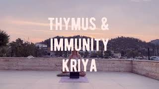 Thymus amp immune system kriya [upl. by Olram]