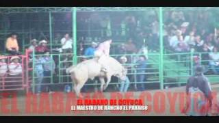 El Rabano De Coyuca VS El Maestro [upl. by Irahs582]