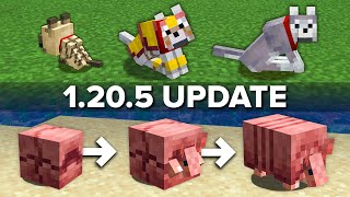 Minecraft 1205 Update Explained in 5 Minutes [upl. by Vonnie]