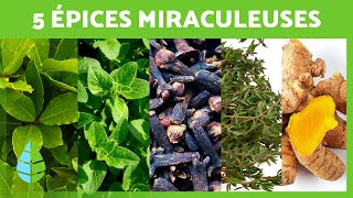 5 ÉPICES MIRACULEUSES que vous devriez INCLURE dans votre RÉGIME 💚 Bienfaits pour la SANTÉ [upl. by Reinhart]