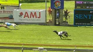 Capalaba27102024Race8 [upl. by Itak]