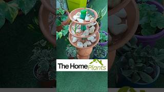 🌿💧 DIY  How To Make Fountain With Plastic Plant Saucer  Easy Garden Fountain 🌿thehomeplants [upl. by Retsevlis265]