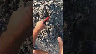 This is amazing metaldetecting shorts [upl. by Chicoine]