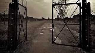 AuschwitzBirkenau [upl. by Enelegna]