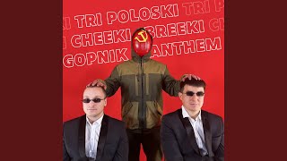 Tri Poloski Cheeki Breeki Gopnik Anthem [upl. by Lleinnad]