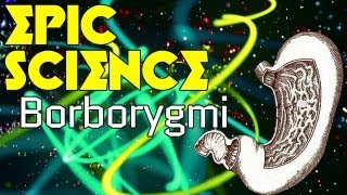 Borborygmi  Epic Science 7 [upl. by Ecyrb943]