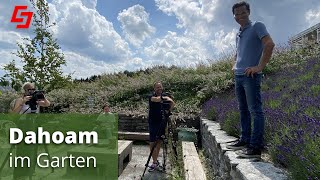 NATURGARTEN  so kriegst du Vögel in deinen Garten Lavendel und TOP Bienenpflanzen [upl. by Nibla]