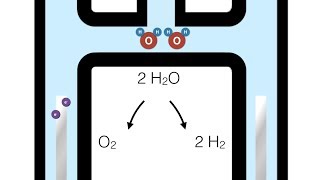 Elektrolyse met het toestel van Hofmann [upl. by Ulund239]