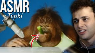 ORANGUTAN ASMR TEPKİ TÜRKÇE ASMR  RAHATLATICI ASMR  ASMR TÜRKÇE  TALKİNG ASMR [upl. by Ahsinauj]