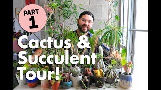 Cactus and Succulent Tour Part 1 • Baetanical [upl. by Nnyluqcaj]