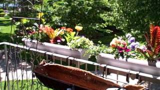 How To Hang Planters on Balcony Patio Railings [upl. by Hogen]