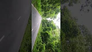 gorumara national park bike nature [upl. by Nahtnoj]