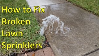 How to Fix Broken Sprinkler Heads [upl. by Letitia]