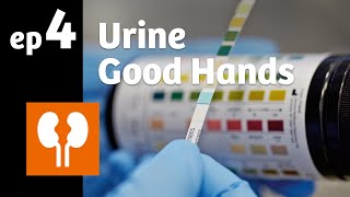 Ep 4 Urine it’s like a clinical compass [upl. by Seys]