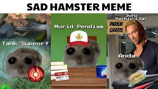 Sad Hamster Meme Moment [upl. by Waylin]