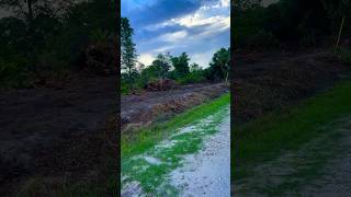 Clearing 3rd property in clewiston florida contact us YeroStockFarm [upl. by Arol]