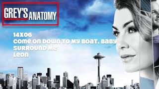 Greys Anatomy Soundtrack  quotSurround Mequot by Leon 14x06 [upl. by Eila]