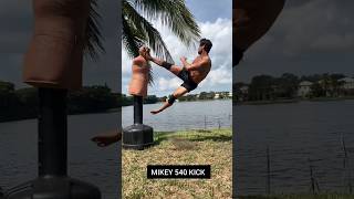 540 KICK ✅ Mastering the 540 Kick shorts karate kick [upl. by Calvin]