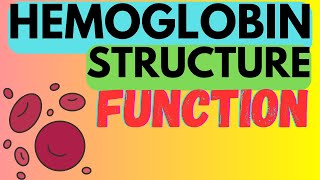 Hemoglobin  Structure  Function  R and T States [upl. by Anoed329]