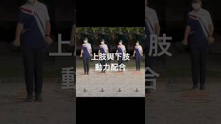 上肢與下肢之間的動力配合 拒絕手快腳慢 petanque 投球機制 [upl. by Bradford863]