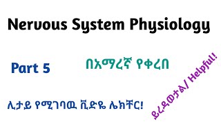 Physiology Neurophysiology General Nervous Tissue Part 5 Video Lecture in Amharic Speech [upl. by Stempson355]