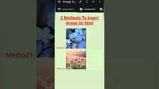 2 Methods to Insert Images in html image html htmltutorial beginners [upl. by Haskell243]