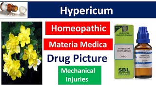 Hypericum Homeopathic medicine  Drug Picture  Materia Medica [upl. by Eloccin215]