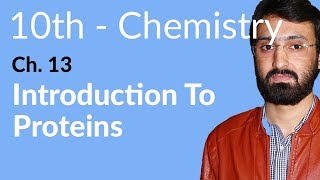 Class 10 Chemistry Chapter 5  Introductions to Proteins  10th Class Chemistry Chapter 13 [upl. by Iny671]