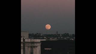 Shareh  talking to the moon  Prod by umairmusicxx​⁠ [upl. by Nodnek205]