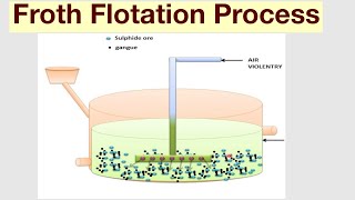 Froth Flotation Process [upl. by Eiryk]