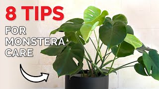 How to revive a Monstera Deliciosa Plant  8 crucial tips [upl. by Acker]