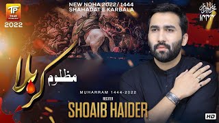 Mazloom E Karbala  Shoaib Haider  Official Video  Thar Production [upl. by Guidotti10]